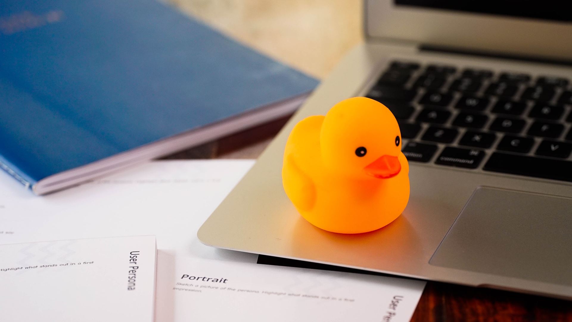 Image of small rubber duck on a laptop 